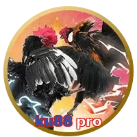 ku88 pro